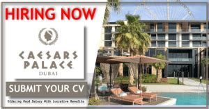 caesars palace casino jobs|Search Jobs .